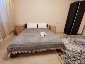 Квартира в центре Алматы, Толе Би Шарипова